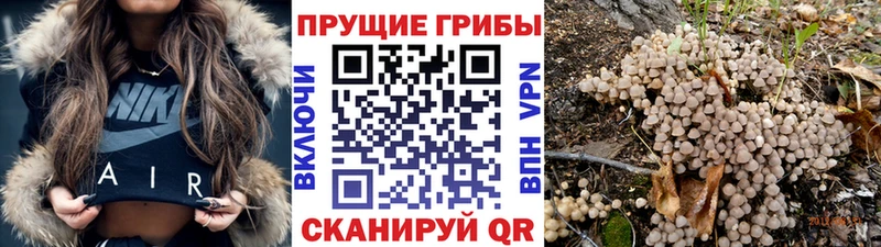 Галлюциногенные грибы GOLDEN TEACHER  Усмань 